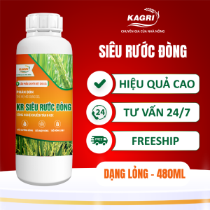 KR SIÊU RƯỚC ĐÒNG 480ML