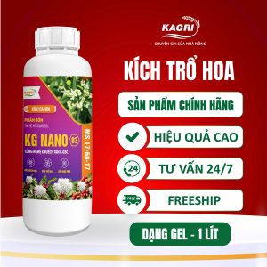 KG NANO 03 1 LÍT