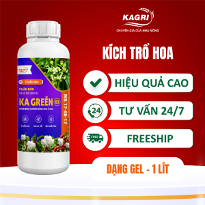 KA GREEN 03 1 LÍT