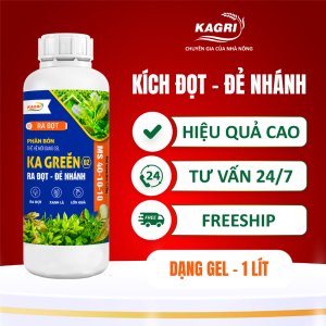 KA GREEN 02 1 LÍT