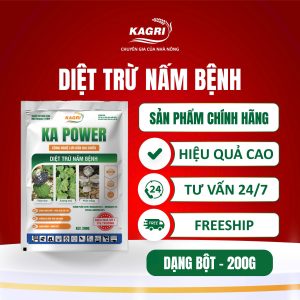 KA POWER TRỪ NẤM BỆNH