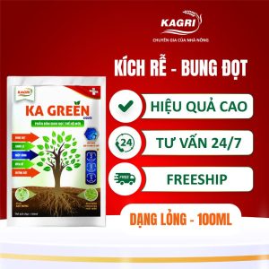 KA GREEN LIQUID 100ML