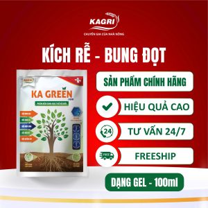 KA GREEN LIQUID 100ML