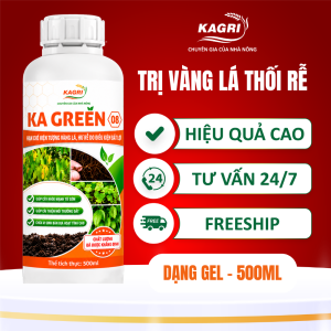 KA GREEN 08 500ML
