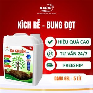 KA GREEN LIQUID 5 LÍT