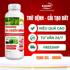KA GREEN ĐỒNG 480ML