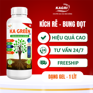 KA GREEN LIQUID 1 LÍT