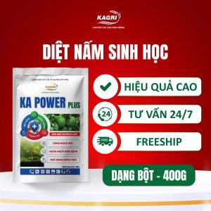 KG POWER PLUS 400G