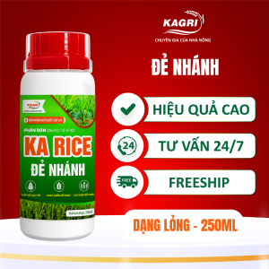 KA RICE ĐẺ NHÁNH 250ML