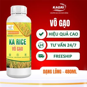 KA RICE VÔ GẠO 480ML