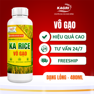 KA RICE VÔ GẠO 480ML