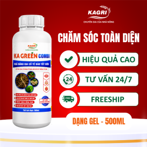 KA GREEN COMBI 500ML