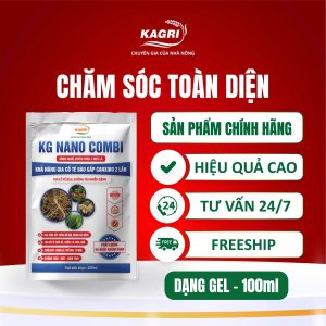 KG NANO COMBI 100ML