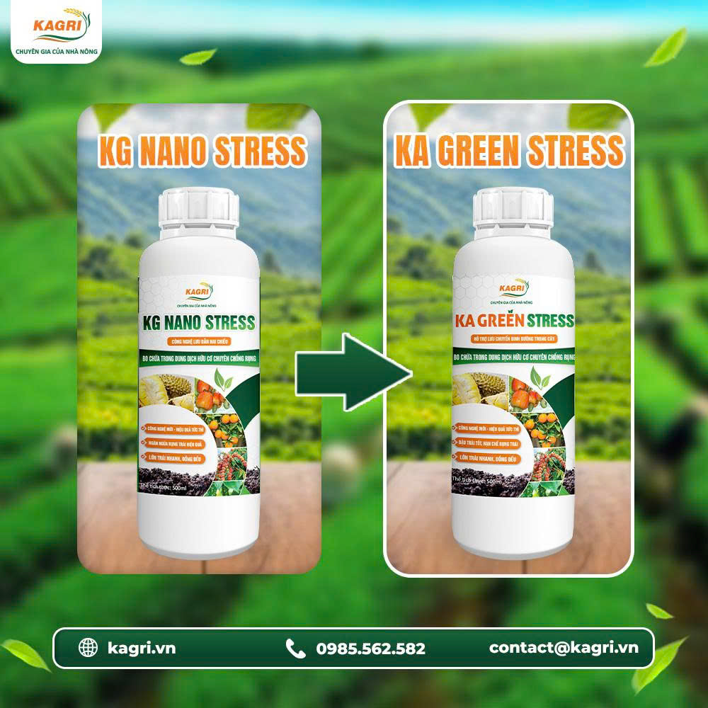 KA GREEN STRESS