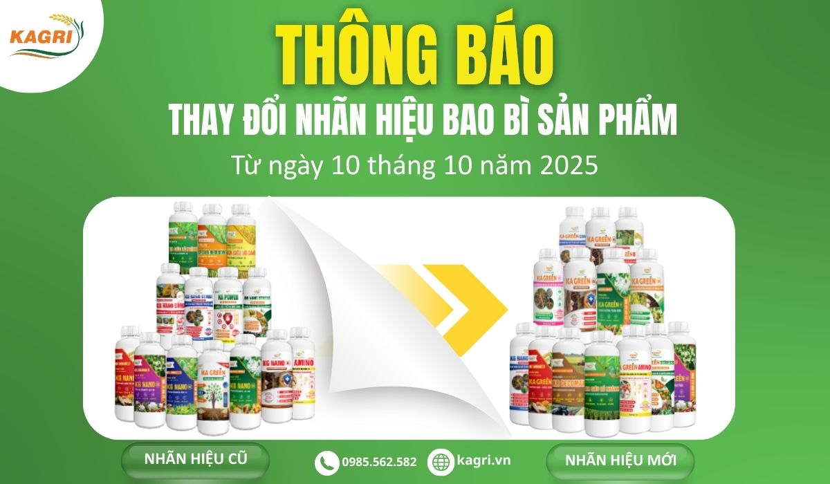 Thông báo thay đổi bao bì nhãn hiệu sản phẩm