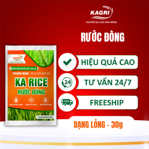 KA RICE RƯỚC ĐÒNG GÓI 30g