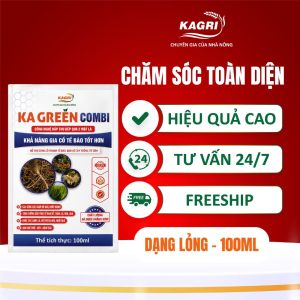 KA GREEN COMBI 100ML