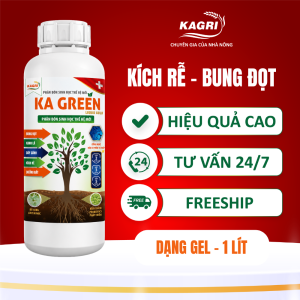 KA GREEN LIQUID GOLD 1 LÍT