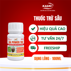 KA POWER T02 100ML