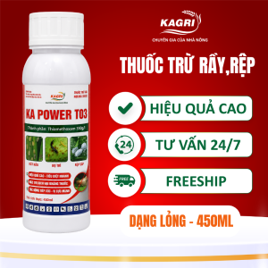 KA POWER T03 450ML